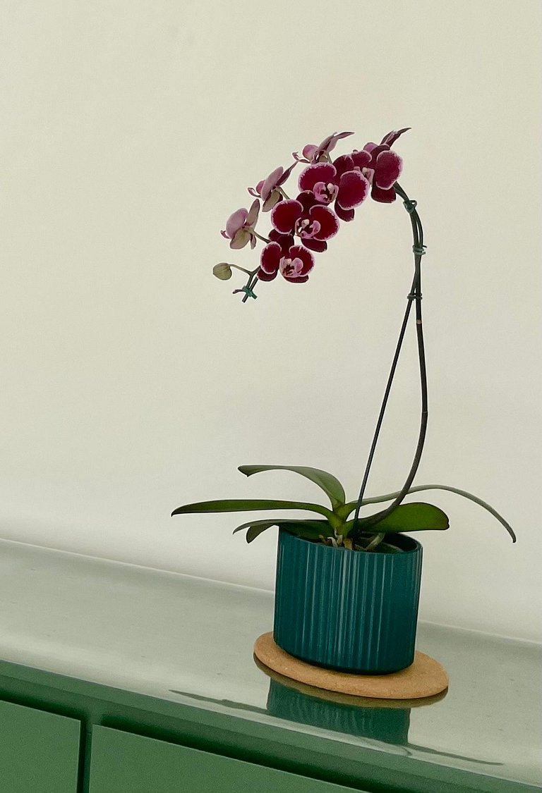 Rio Habitat Ipanema: Sophisticated and Minimalist