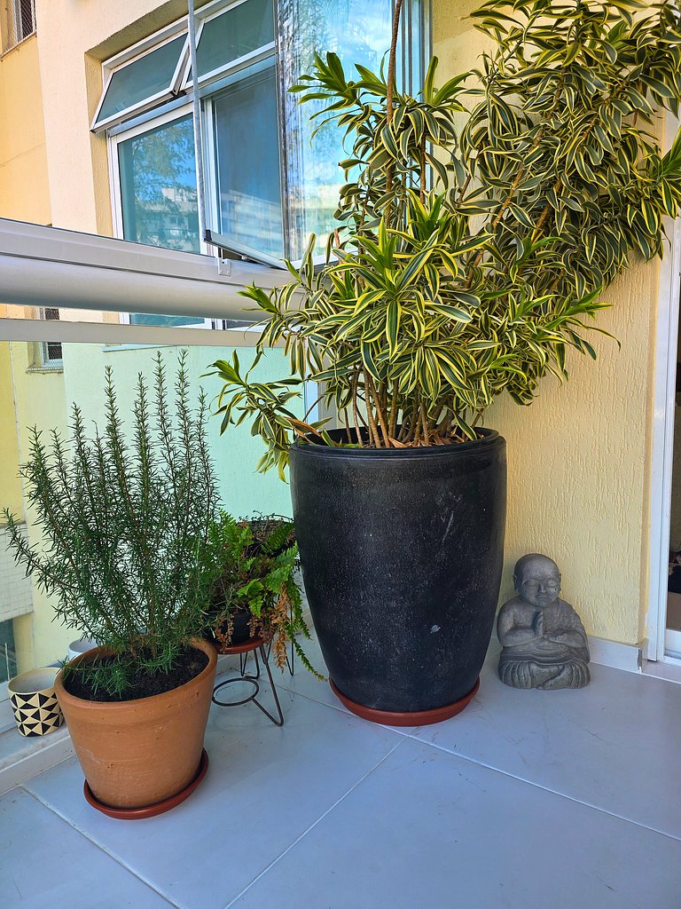 Rio Habitat: Resort & Natureza na Barra