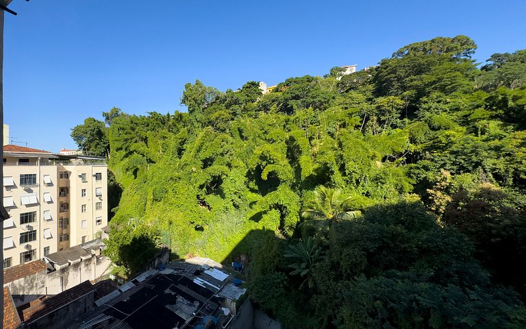 Studio Lapa with modern design and view of the forest